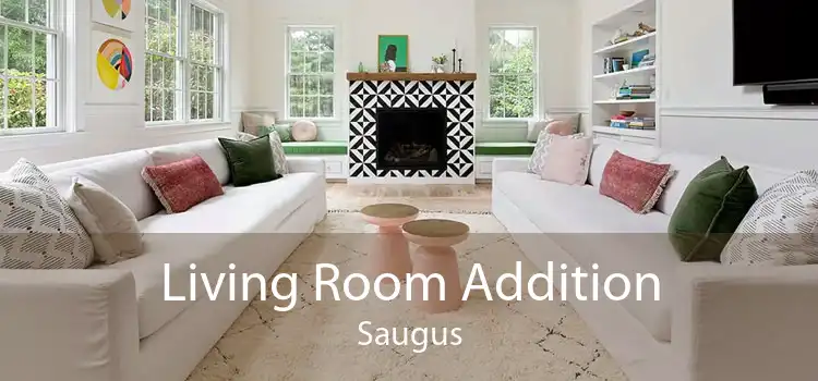 Living Room Addition Saugus